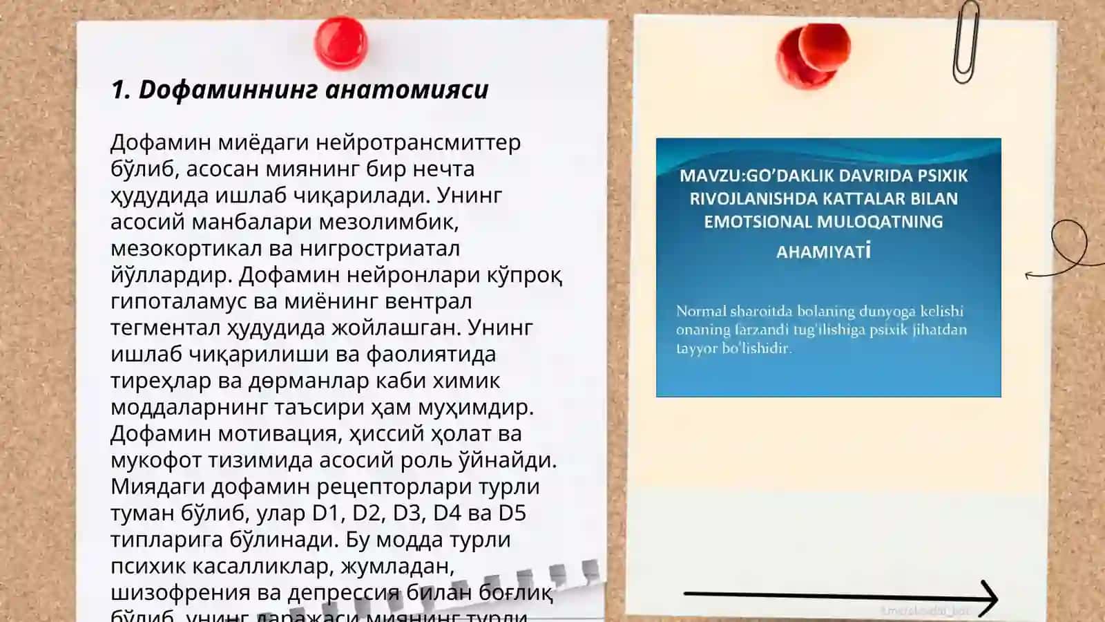 Dofamin gormoni xususiyatlari vazifasi biokimyodagi ahamiyati 3