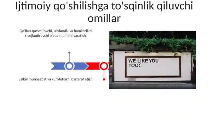 Inklyuziv ta'limning ijtimoiy strategiyasi 3
