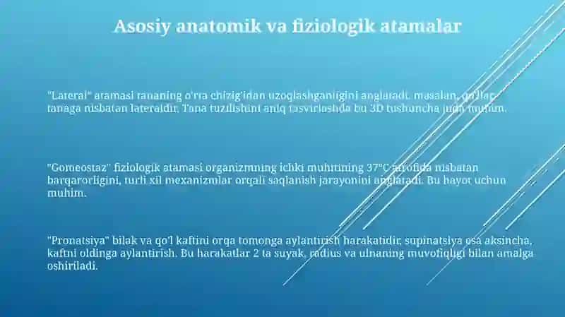 Odam organizmiga oid terminlar ishtirokida taqdimot 3