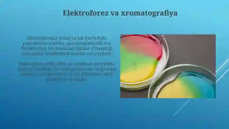 Elektroforez va xromatografiya 3