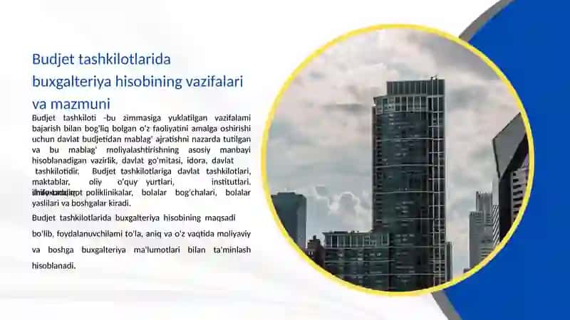 Budjet tashkilotlarining budjet hisobida yagona schotlar rejasini qo'llash tartibi 3