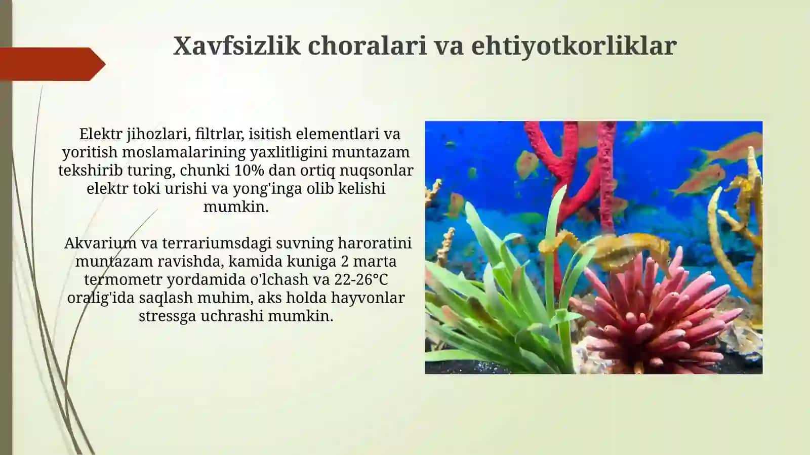 Akvariumda va Terrariumda Yashovchilarni Parvarishlashning Shartlari 3