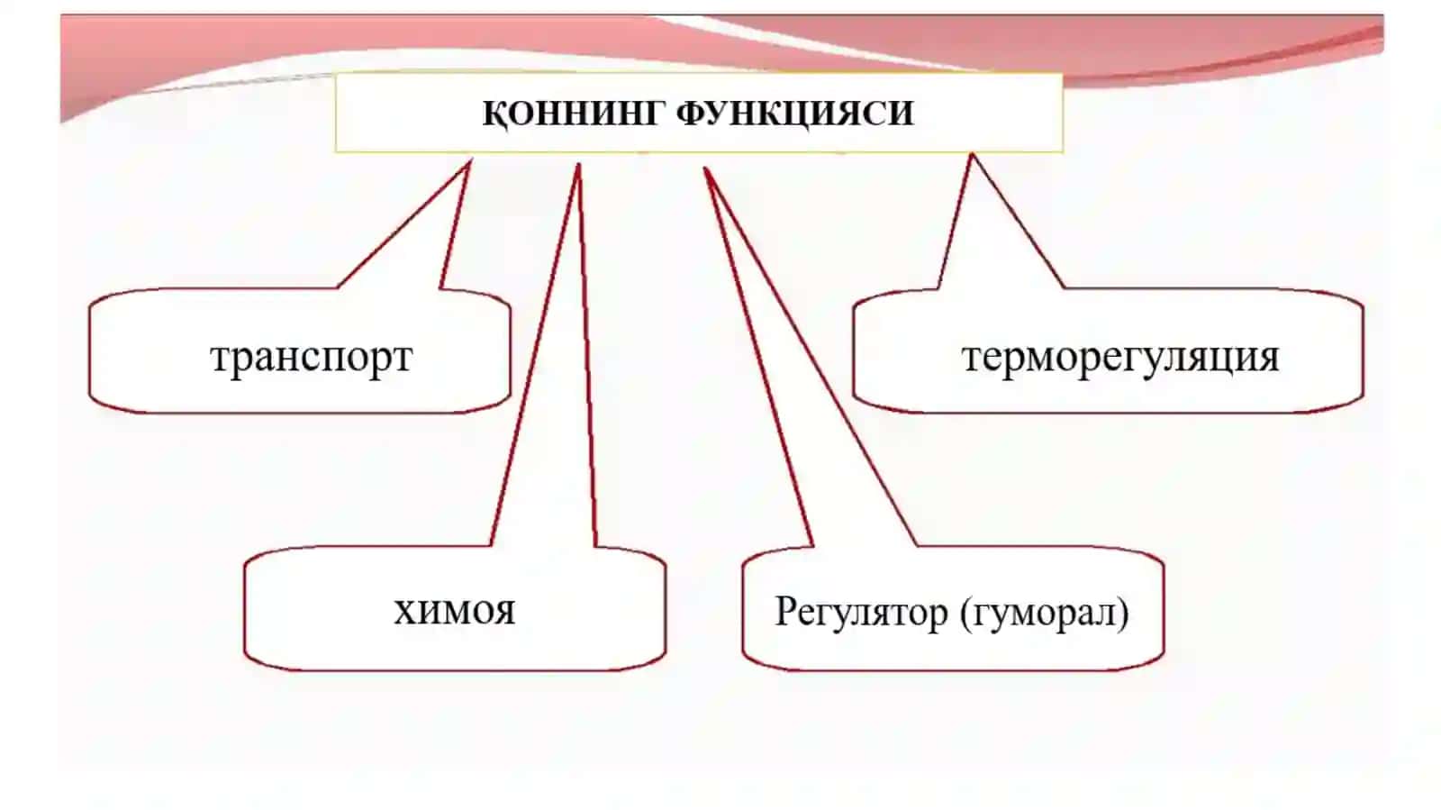 ҚОН-ИЧКИ МУХИТ ТЎҚИМАСИ 3