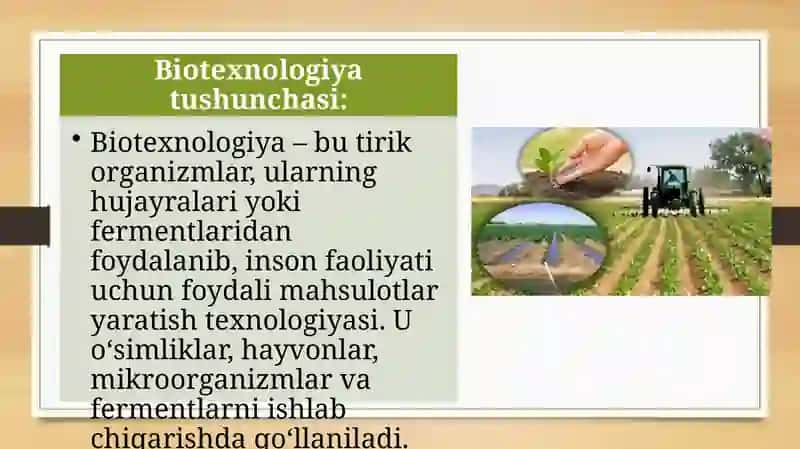 Qishloqxo'jalik mahsulotlarini saqlash va qayta ishlashda biotexnologiya usullari 3