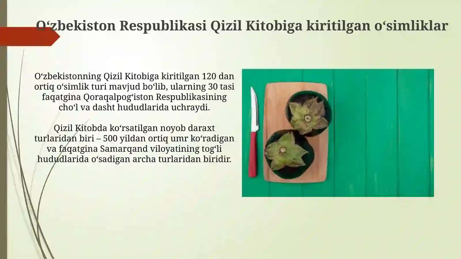 Oʻzbekiston Respublikasi Qizil Kitobiga kiritilgan o'simliklar 3