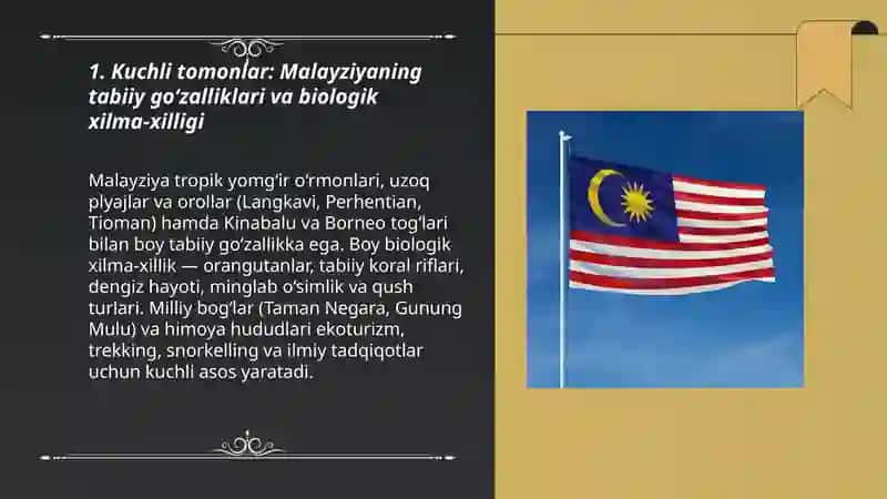 Malayziyaning xalqaro turizm rivoji: SWOT tahlil 3