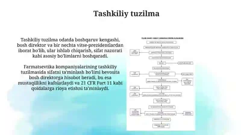 Farmatsevtik ishlab chiqarish jarayoning tashkiliy tuzilishi 3