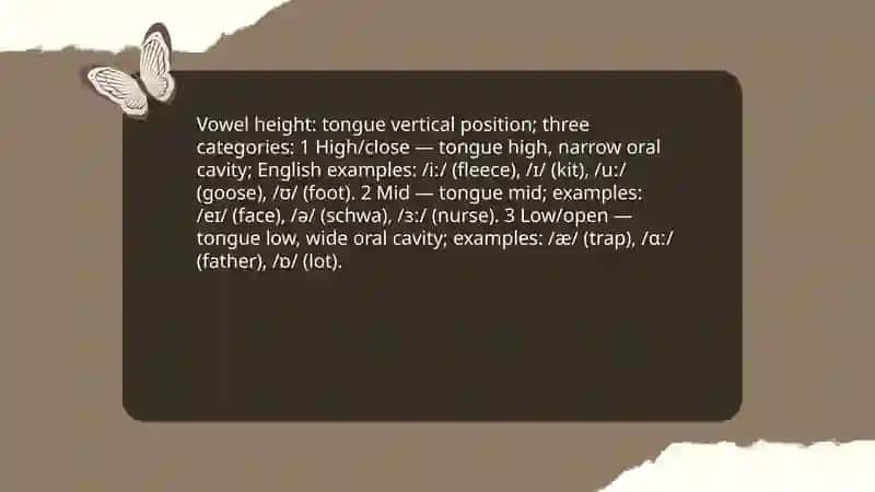 Clasdification of vowel 3