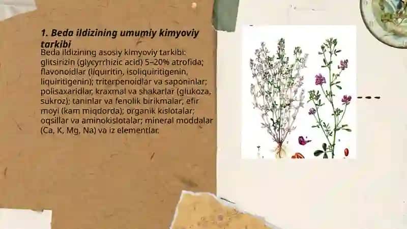 Beda ildizini tarkibi nimalardan iborat 3