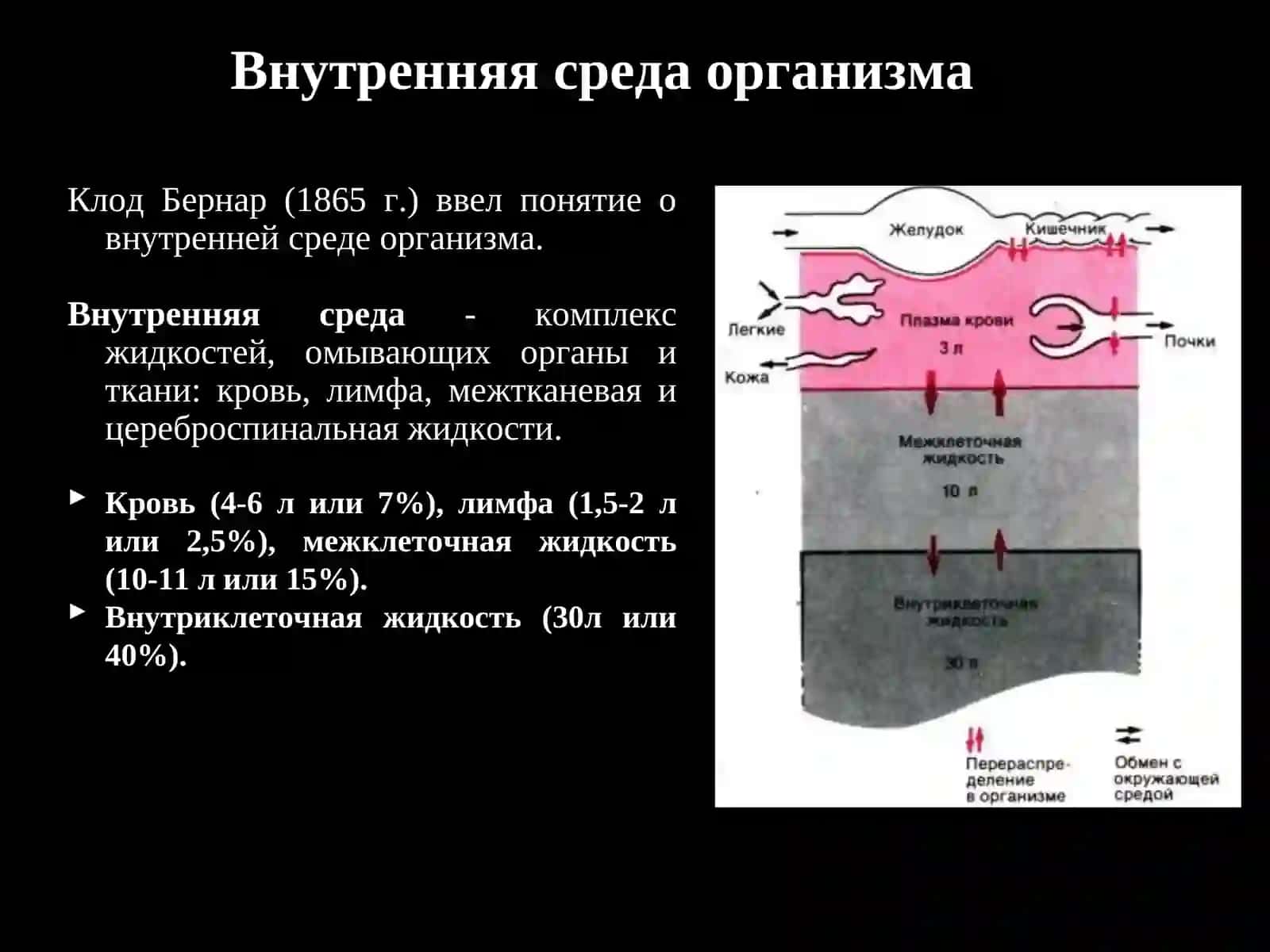 Кровь – это зеркало здоровья организма 3