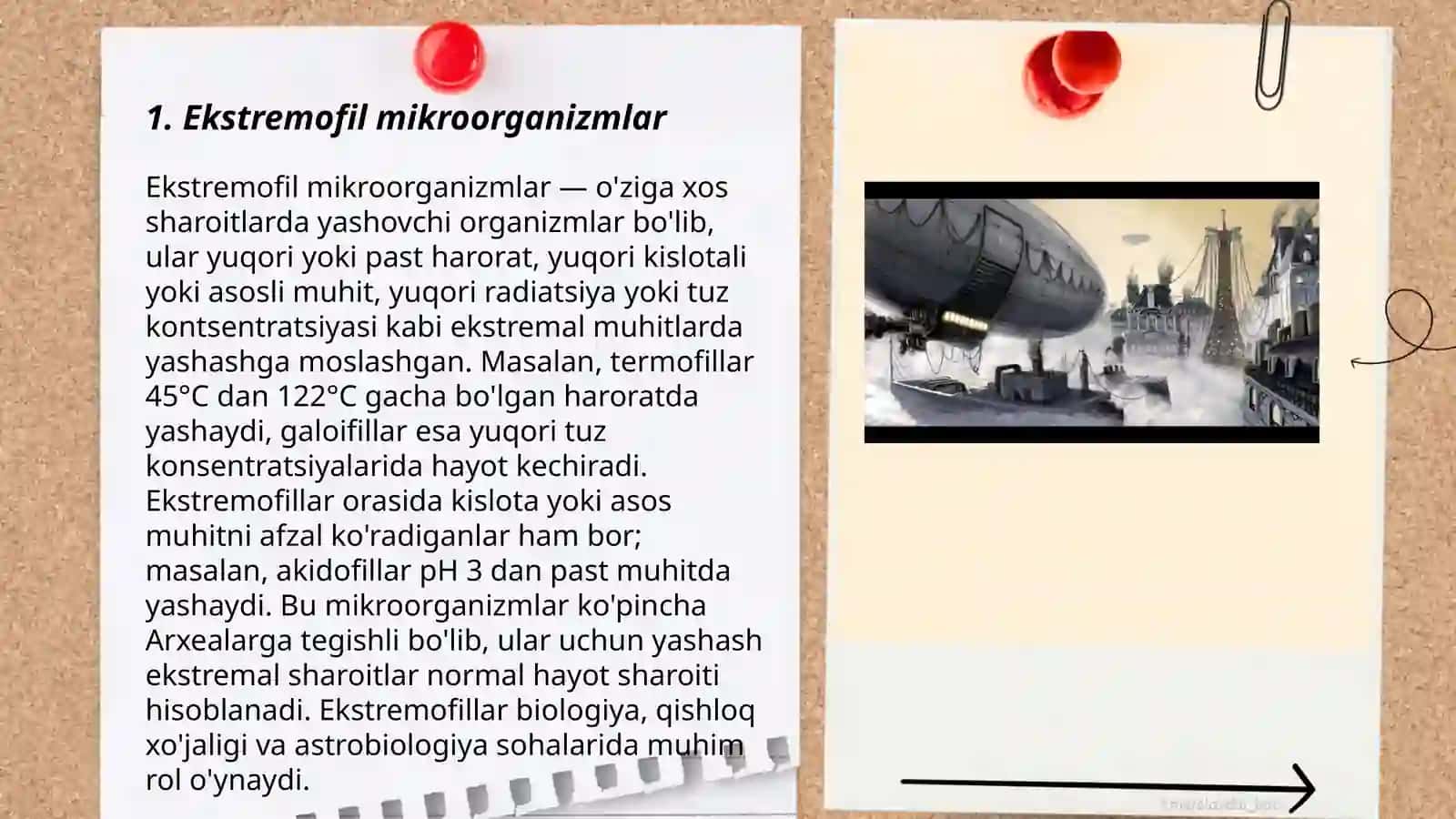 Ekstremofil mikroorganizmlar 3