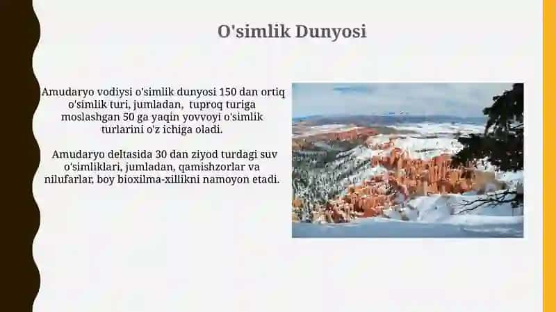 Quyi Amudaryo tabiiy geografik okrugi 3