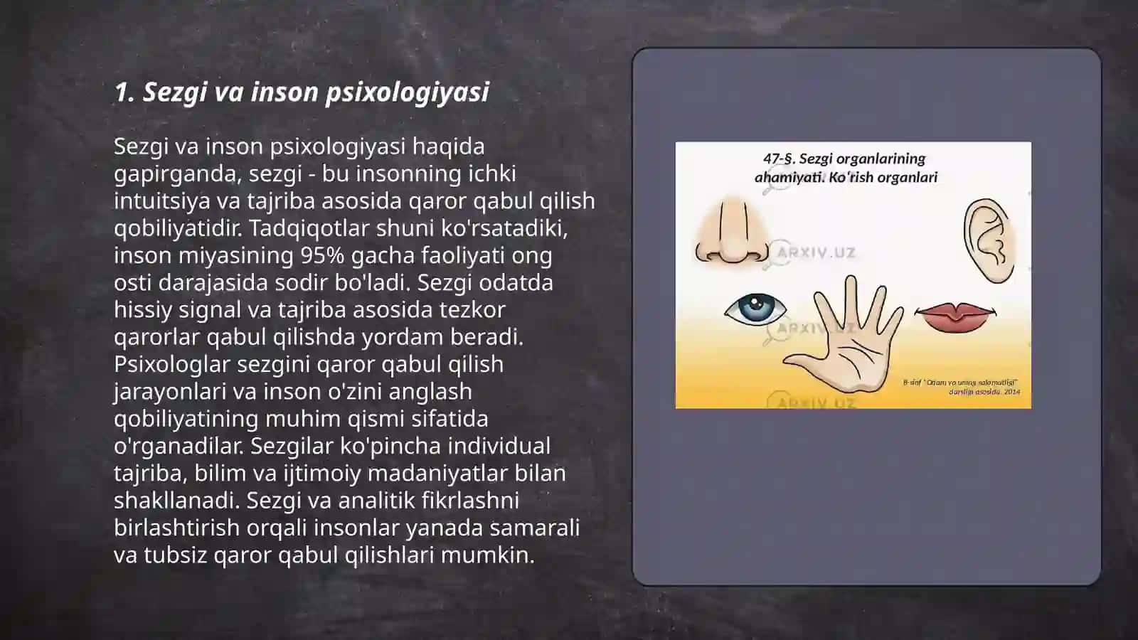 Sezgi 3
