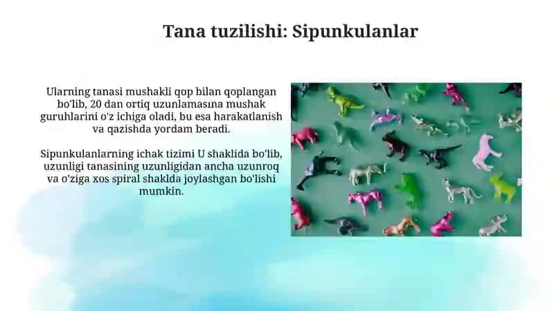 Dastlabki halqalilar sinfi vakillarining tuzilishi va hayot tarzi. Exiuralar va Sipunkulalar tiplari 3