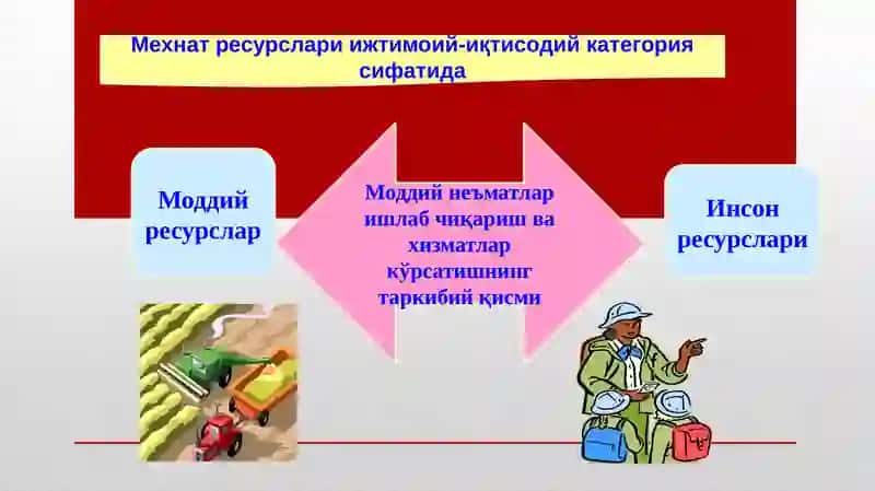 МЕҲНАТ РЕСУРСЛАРИНИНГ ТАРКИБИ ВА ТУЗИЛИШИ 3