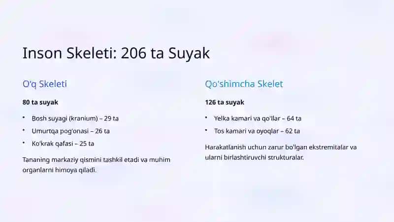 Osteologiya: Suyaklarning Umumiy Tuzilishi 3