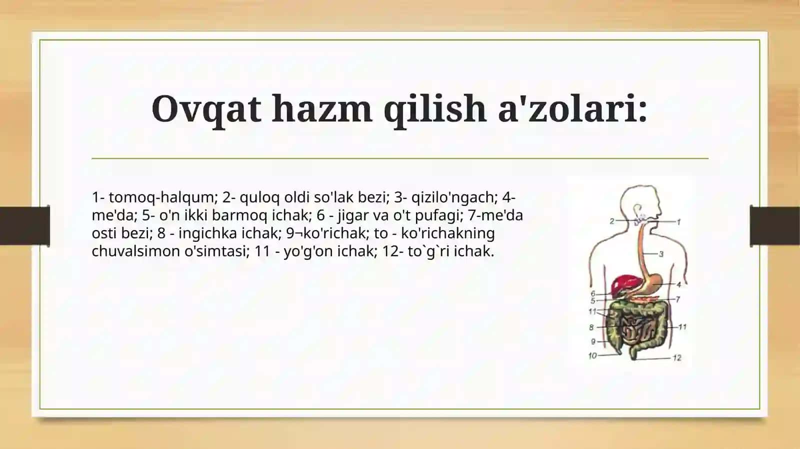 Stomatologiya yo’nalishi 24-05 guruh talabasi Mutalipova Muhayyo 3