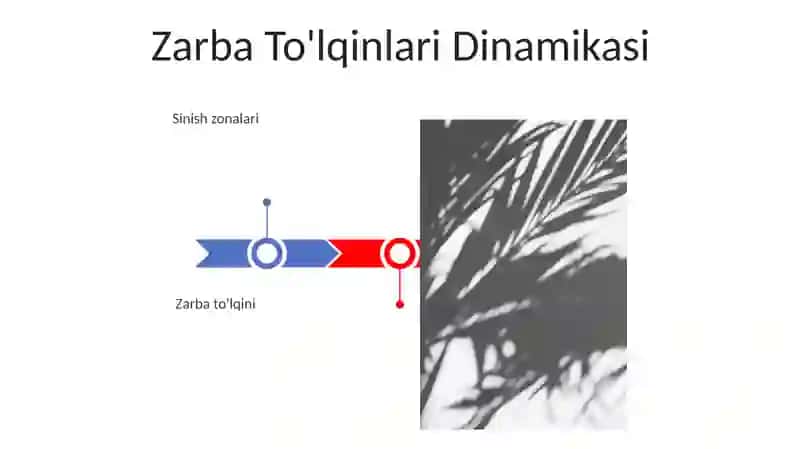 To'lqin zarbi. Jabrlanish zonalari. Yorug'lik ajralishi. O'tuvchi nurlar 3