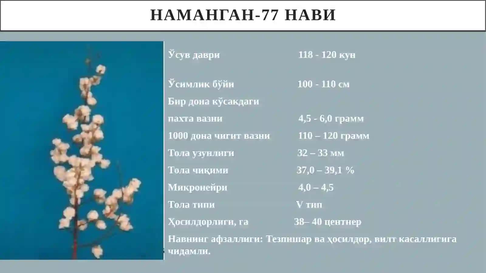 Сув  тежовчи  технологияларни қўллаш  орқали  қишлоқ  хўжалиги экинларини парваришлашда агротехник тадбирлар 3
