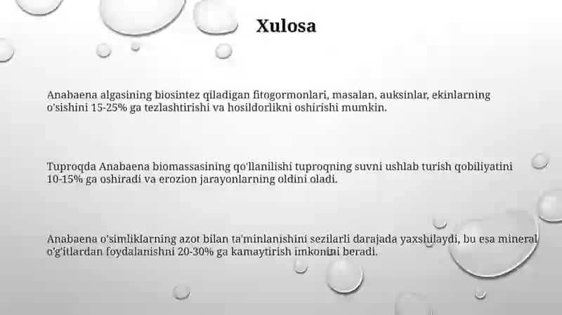 Anabaena suv oʻtlari: Xususiyatlari va afzalliklari 3