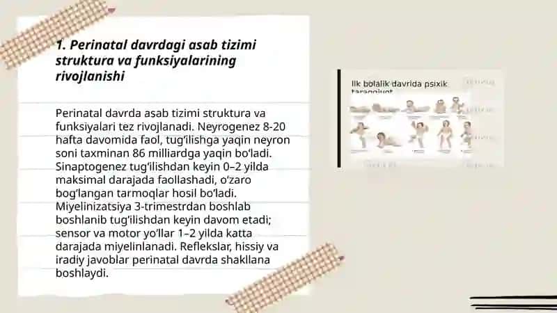 Perinatal va chaqaloqlik davrida psixofizologik rivojlanishga xos xususiyatlari 3