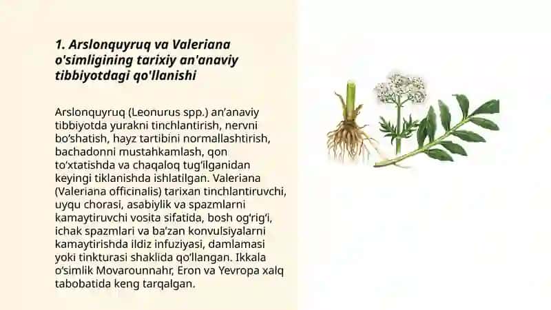 Arslonquyruq va Valeriana o'simligining dorivorligi 3