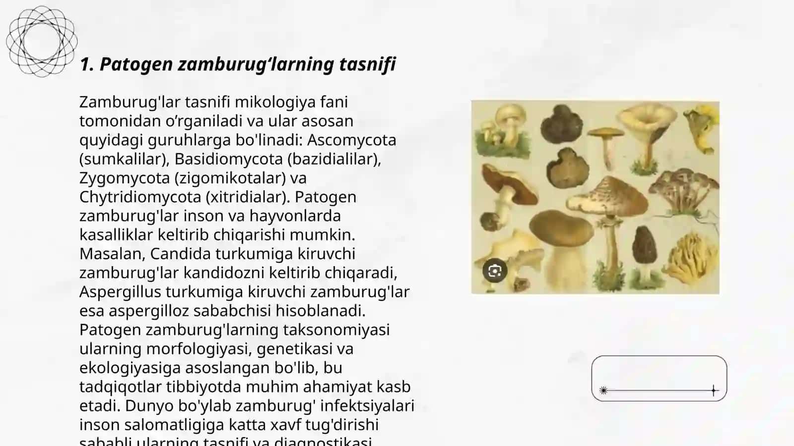 Patogen zamburugʻlar chiqaruvchi kasalliklar va ularni labaratoriya diagnostikasi 3