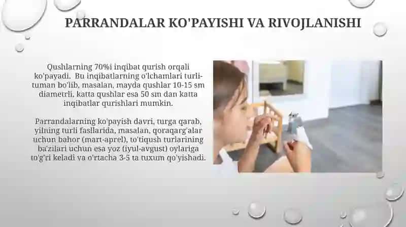 Qushlar sinfi 3