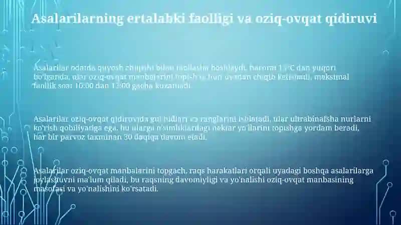 Asalarilarning ertalabki vakunduzgi faoliyatini kuzatish 3