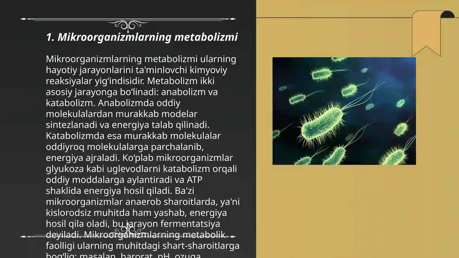 Mikroorganizmlar ishtirokida boradigan biokimyoviy jarayonlar 3