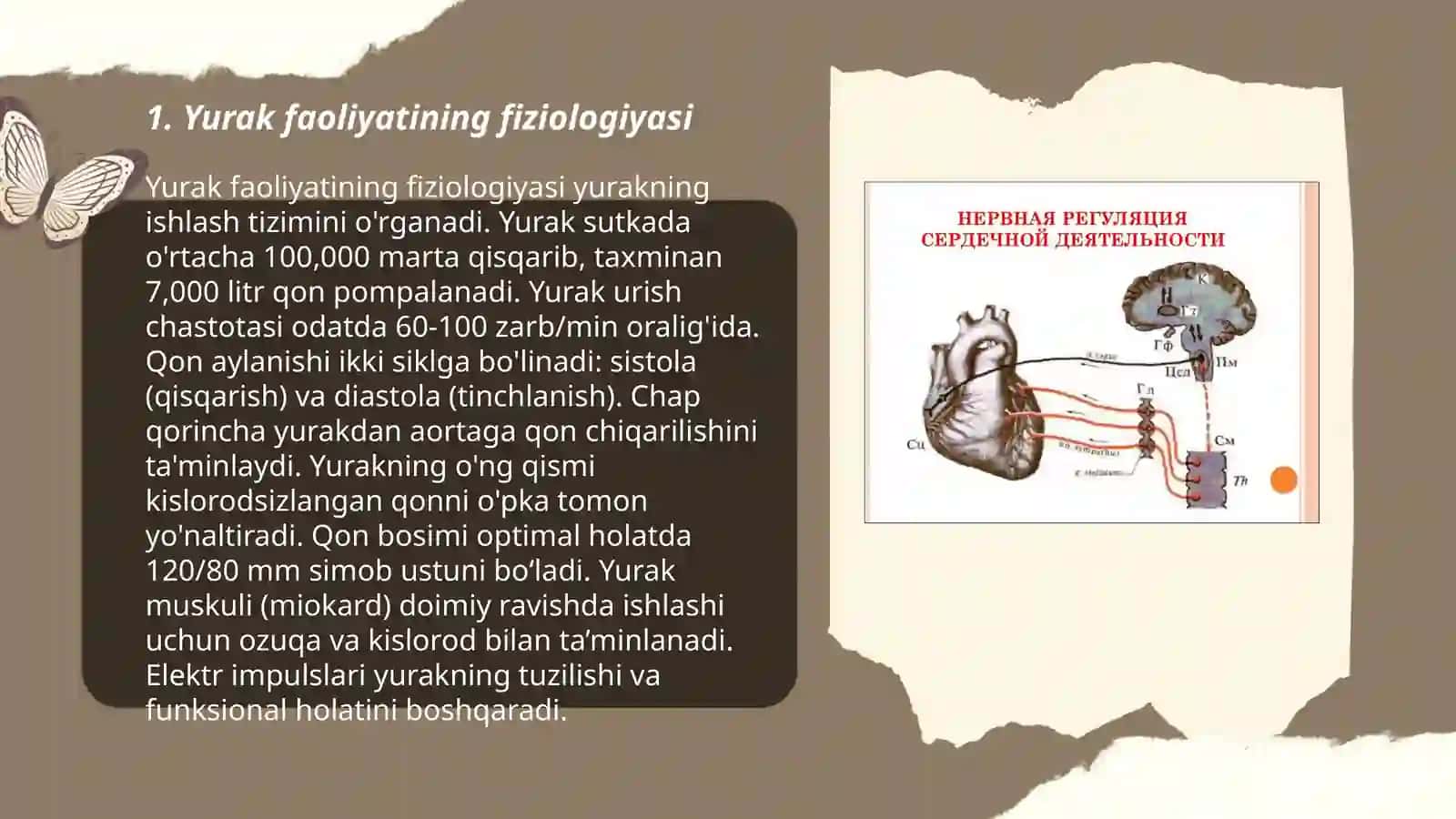 Yurak faoliyatining fiziologiyasi 3