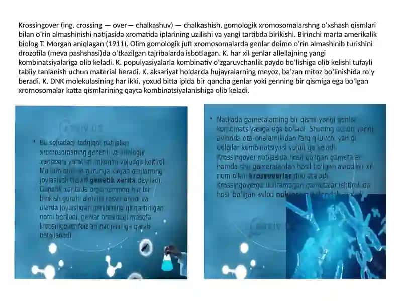 Irsiyatning xromosoma nazariyasi. T.G.Morgan genlarning  birikish holati,krossingover.Belgilarning jinsga birikkan holda irsiylanishi 3