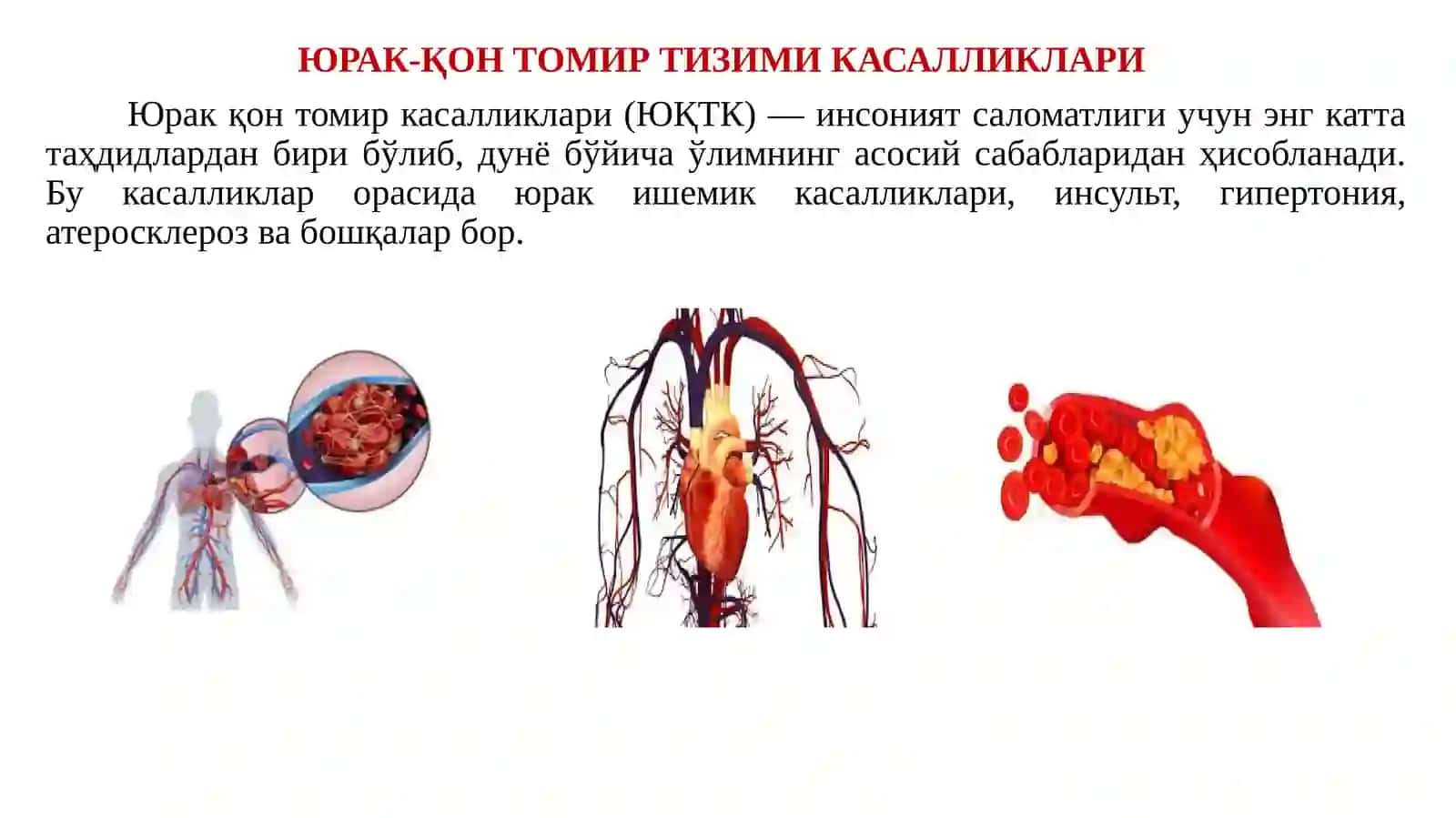 АҲОЛИ ОРАСИДА ЮРАК-ҚОН ТОМИР ТИЗИМИ КАСАЛЛИКЛАРИНИ ОЛДИНИ ОЛИШ. ЮРАК-ҚОН ТОМИР ТИЗИМИ КАСАЛЛИКЛАРИНИ ОЛДИНИ ОЛИШДА ЖИСМОНИЙ ФАОЛЛИКНИНГ АҲАМИЯТИ 3