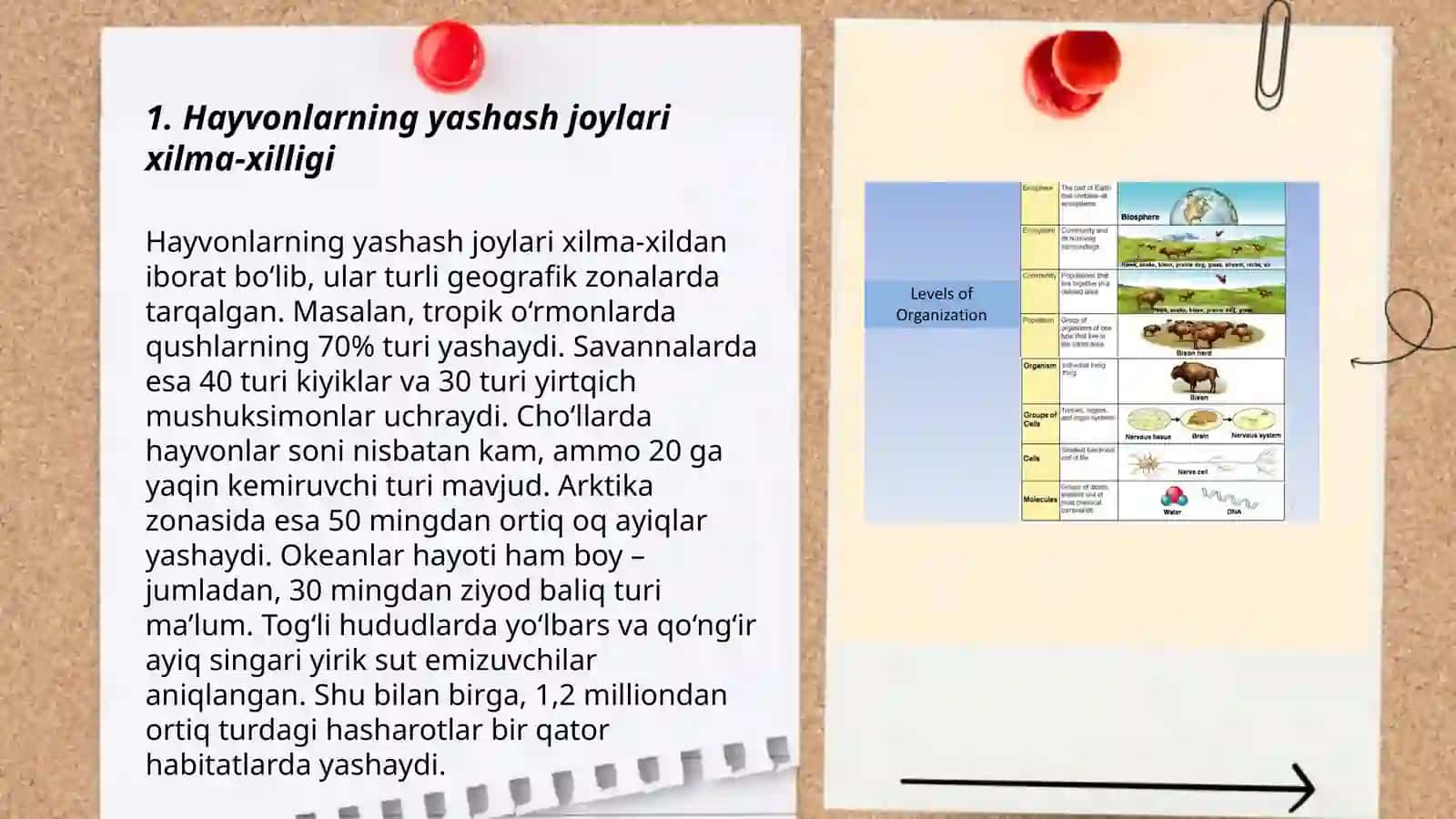 Biologik xilma xillik va ekotizimlarda o'rganish( hayvonlar boyicha) 3