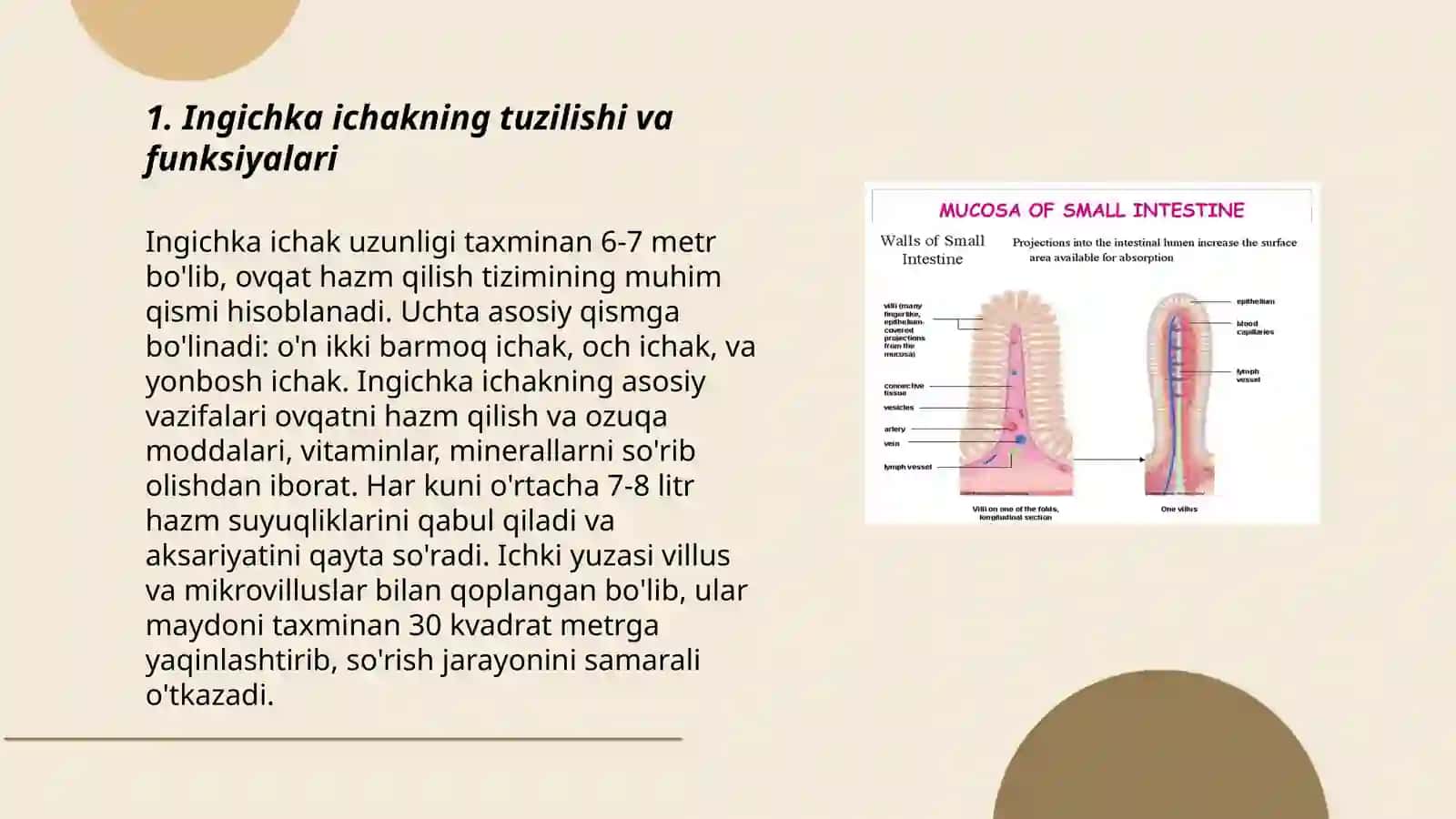 Ingichka ichakda parchalanish mahsulotlari so'rilishning buzilishi 3