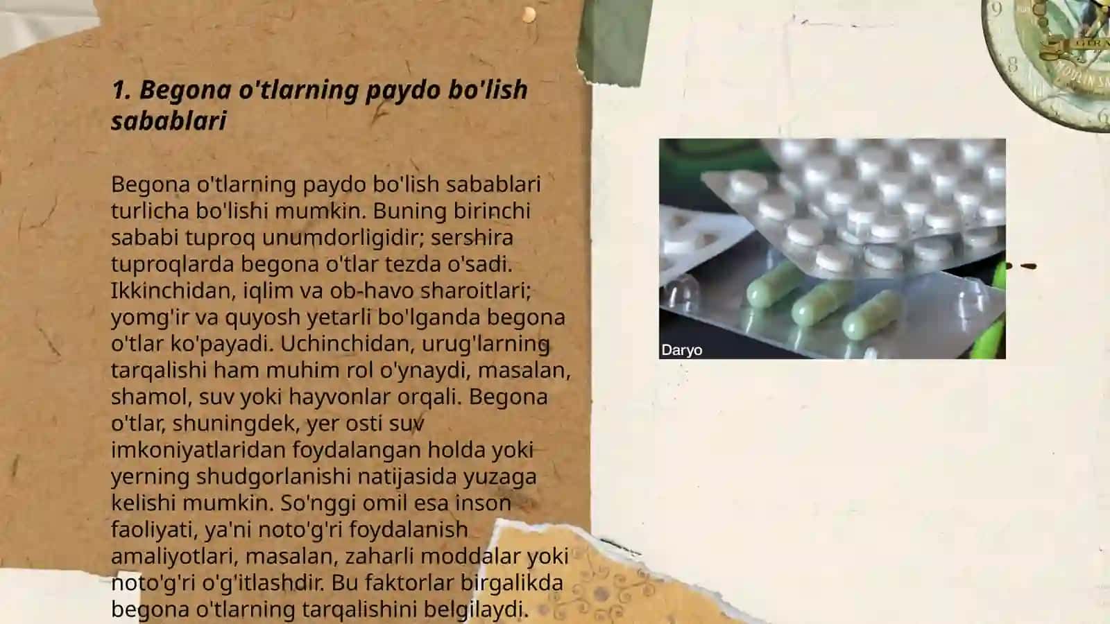 Begona òtlar va ularga qarshi kurashish choralari 3