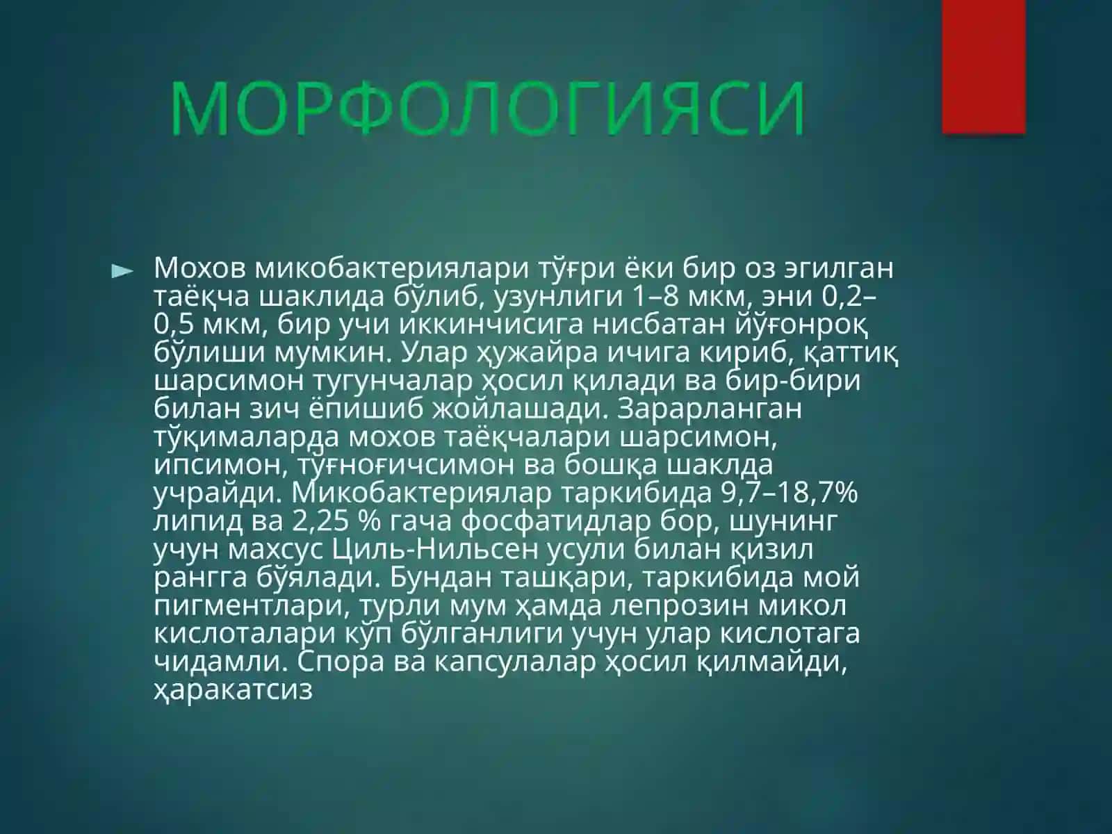МОХОВ (ЛЕПРА) 3