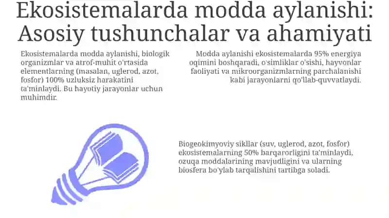 Ekosistemalarda moddalar aylanishi jarayonini modellashtirish 3