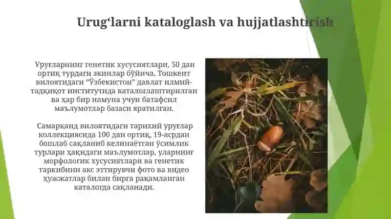 Urugʻlarni saqlash va hujjatlashtirish 3