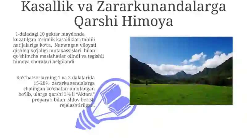Koʻchatzorlarni birinchi va ikkinchi dalasida amalga oshiriladigan ishlar 3