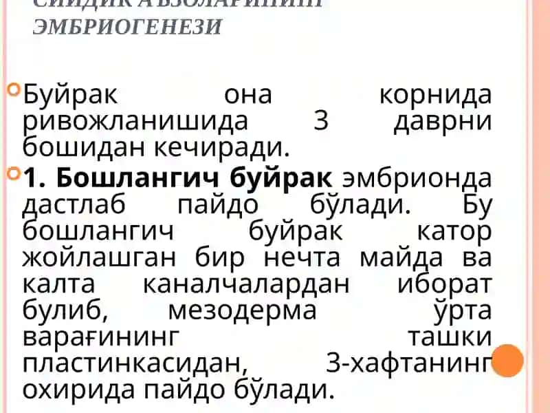 СИЙДИК АЪЗОЛАРИНИНГ АНАТОМО-ФИЗИОЛОГИК ХУСУСИЯТЛАРИ ВА ЖАРОХАТЛАНИШ СИНДРОМЛАРИ 3