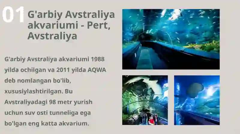 Dunyodagi eng katta akvariumlar 3