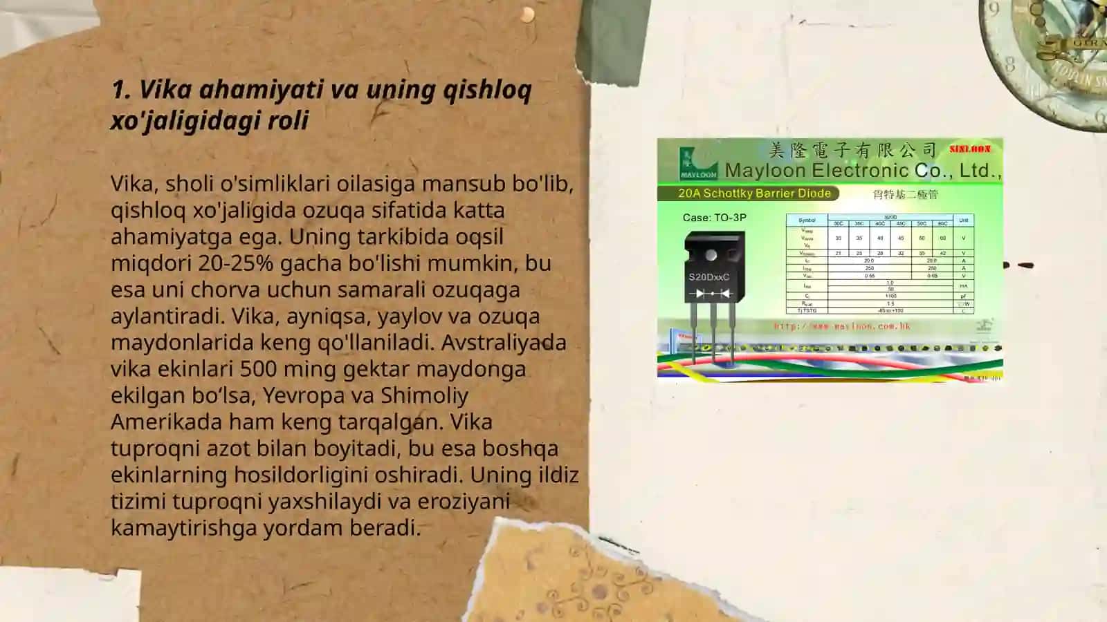 Vika -ahamiyati, tarqalishi, biologiyasi va yetishtirish texnalogiyasi 3