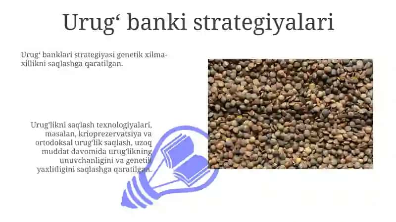 Urugʻ banklari strategiyasi 3