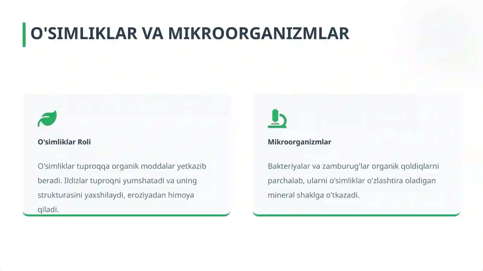 Organizmlar va Tuproq hosil bo'lishi 3