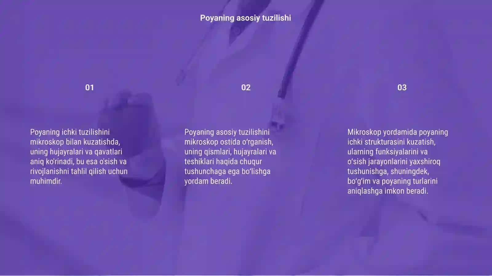Poyaning ichki tuzilishini mikroskop ostida kuzatish 3