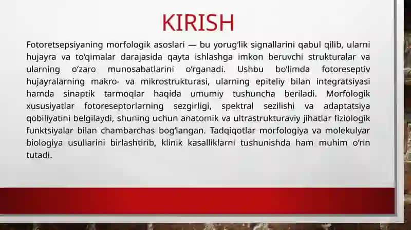Fotoretsepsiyaning morfologik asoslari 3