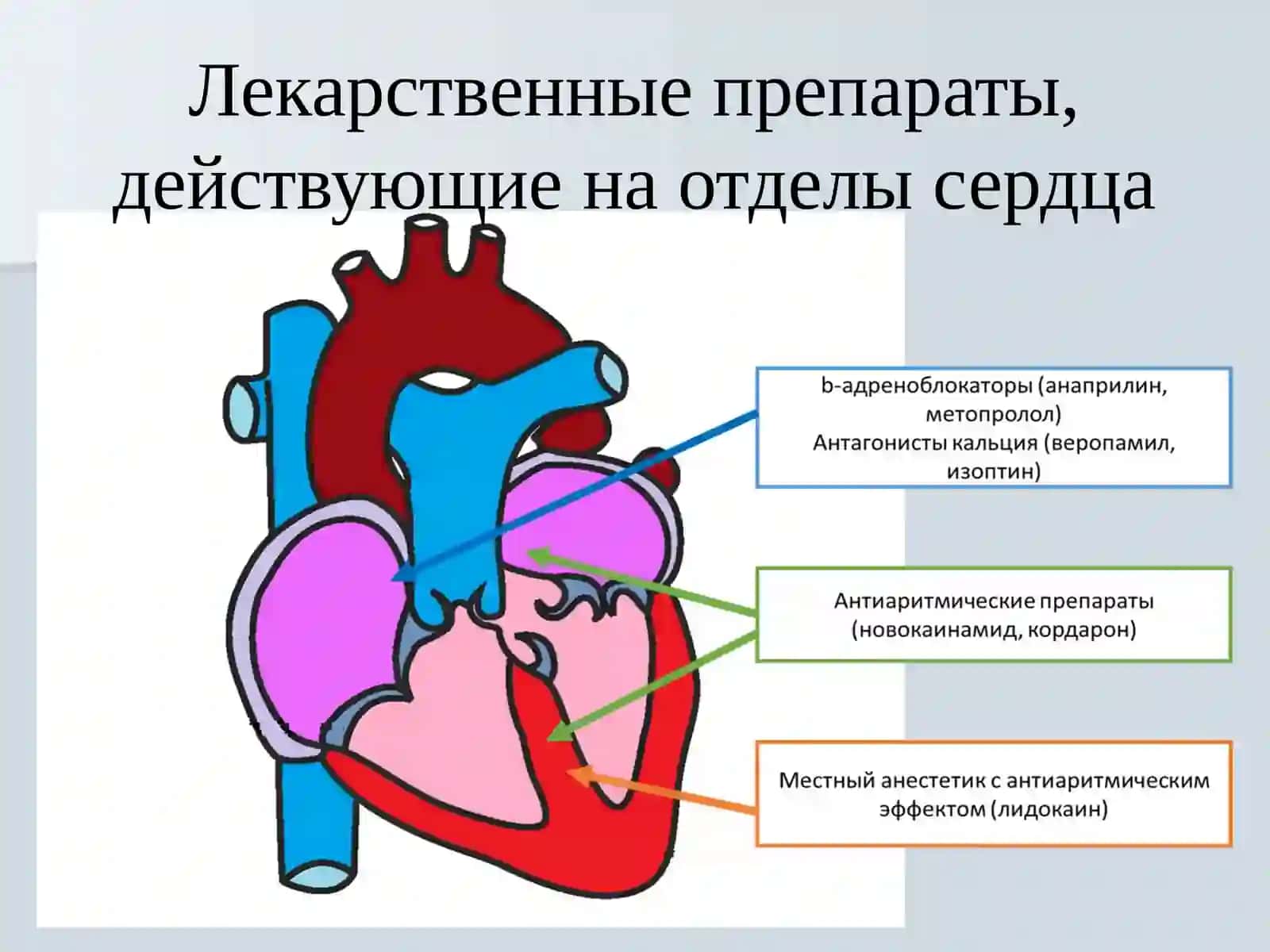 ЭЛЕКТРОКАРДИОГРАФИЯ EKG 3