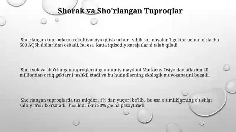 Tuproq Resurslarining Boshqarilishi va Muammolari 3