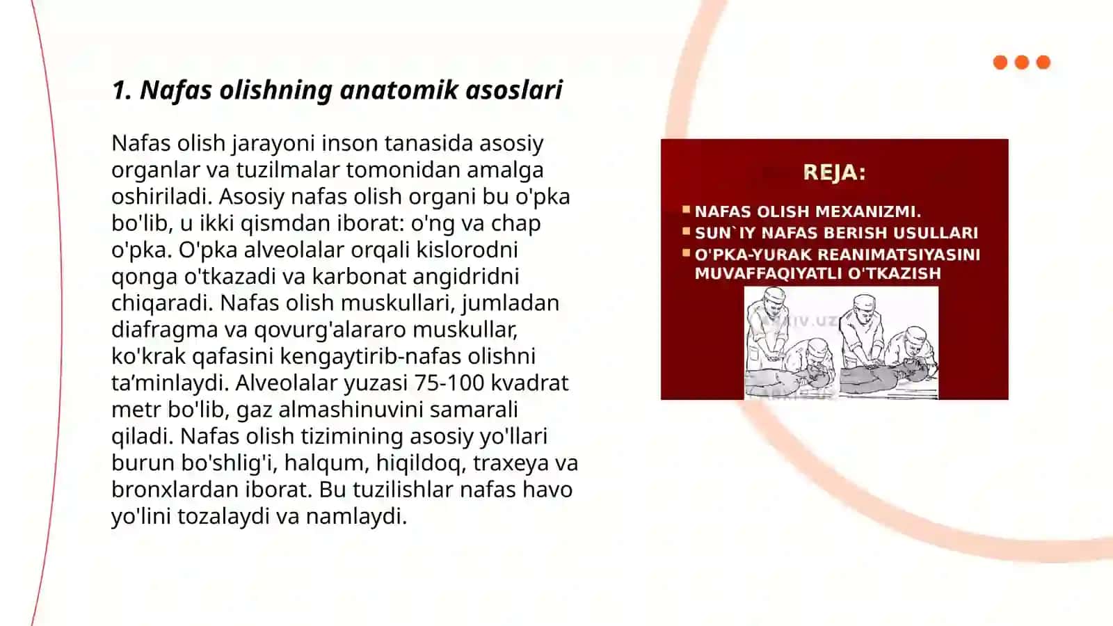 Nafas olish sistemasi va ularni vazifasi 3